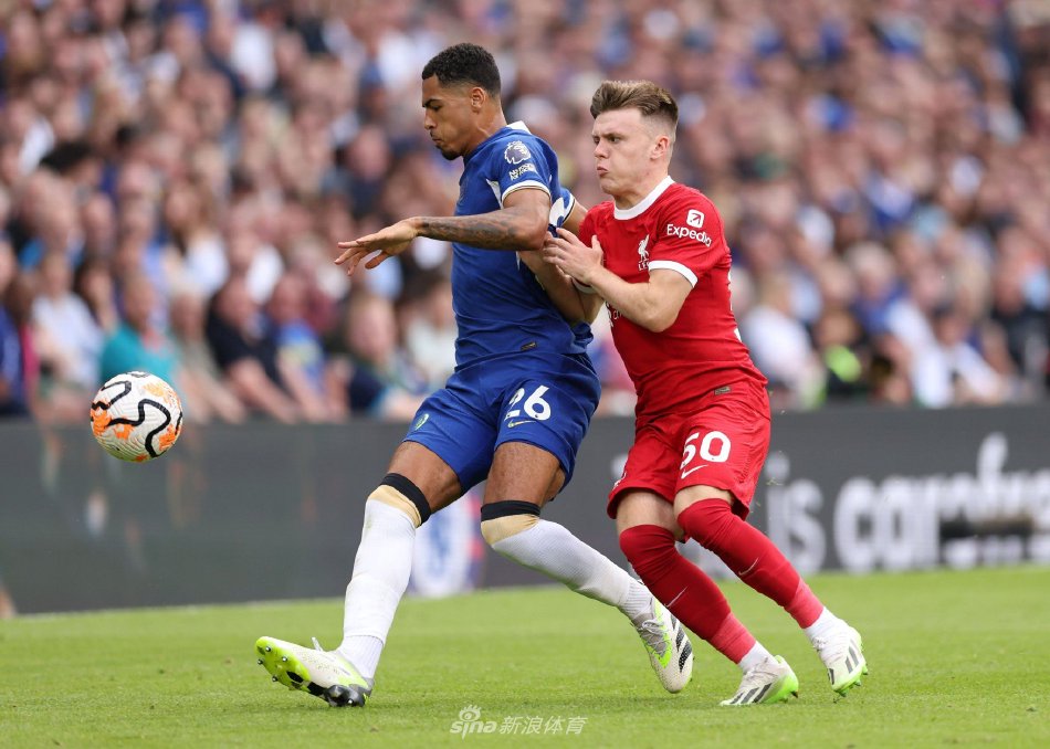 轻天才选择 轻天才选择